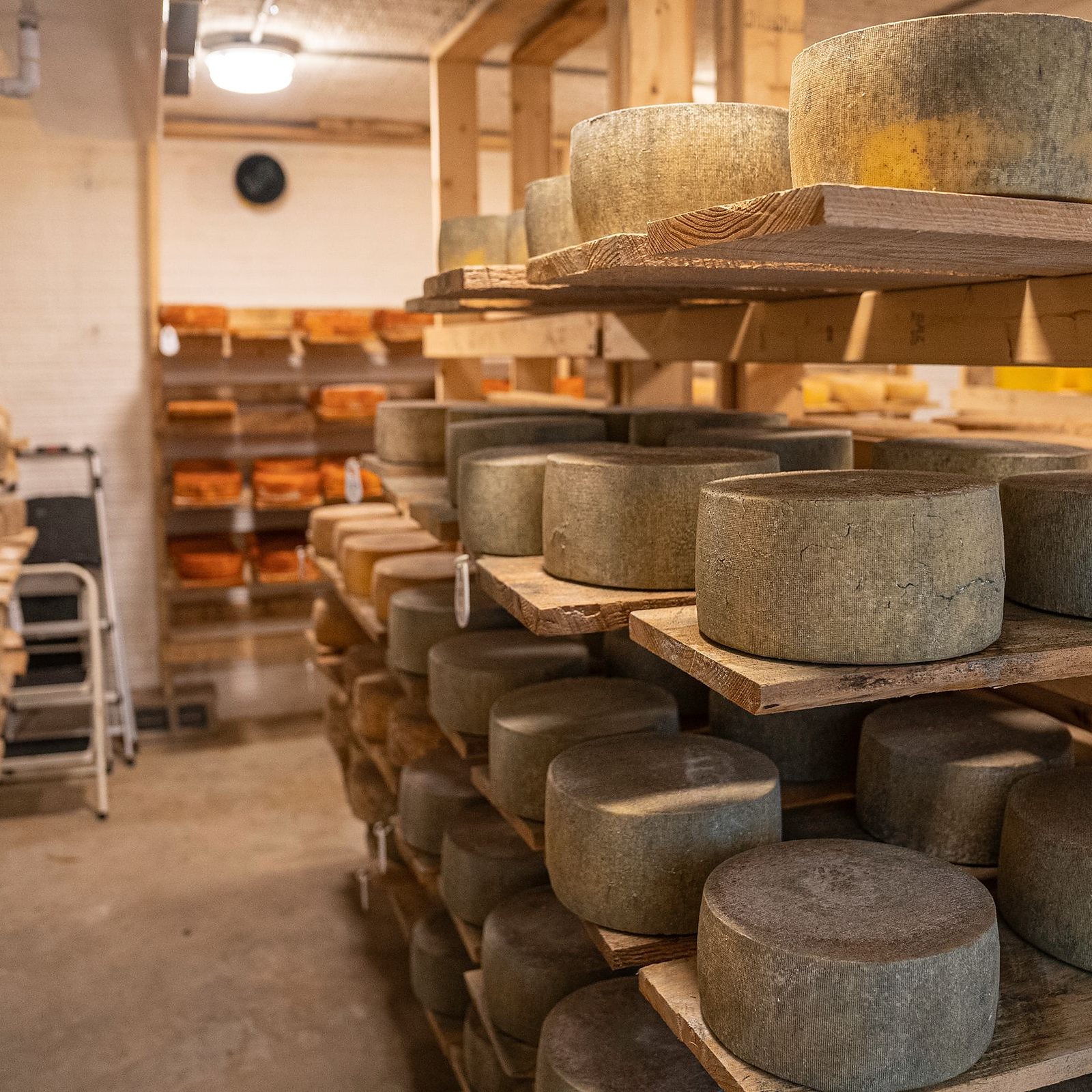 Cave d'affinage, meules de fromage rangées sur des étagères de bois